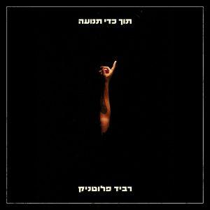 רביד פלוטניק – תוך כדי תנועה