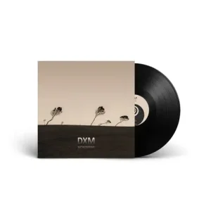 DXM – Wondering